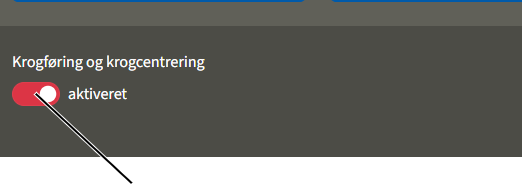 U:\Allgemein\Produkthandbücher\User Interfaces\Screenshots - KranOS\DE\Hakenführung aktivieren deaktivieren.png